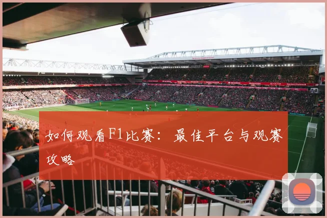 如何观看F1比赛：最佳平台与观赛攻略