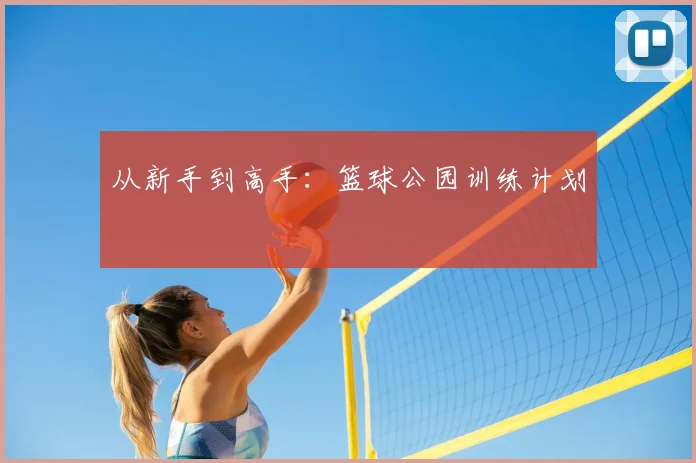 从新手到高手：篮球公园训练计划
